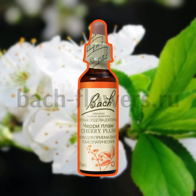 Цветочная терапия доктора Баха CHERRY PLUM Вишнеслива