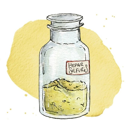 Гепар сульфур гомеопатия